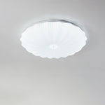Shell Acrylic Round Ceiling Lamp