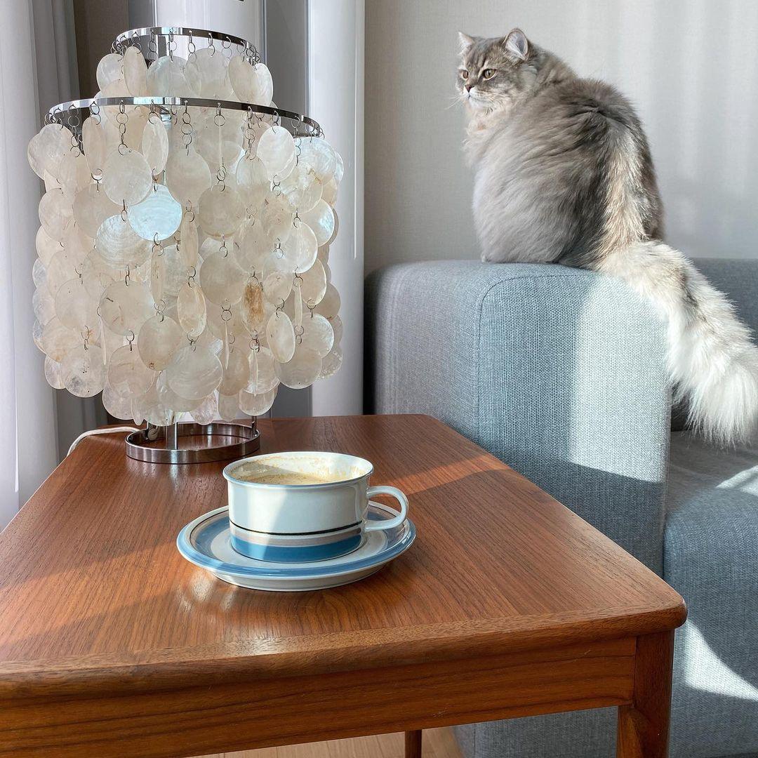 shell-table-lamp