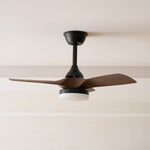 Silven Curve Ceiling Fan Light with LED – Modern Walnut Fan for Living Spaces