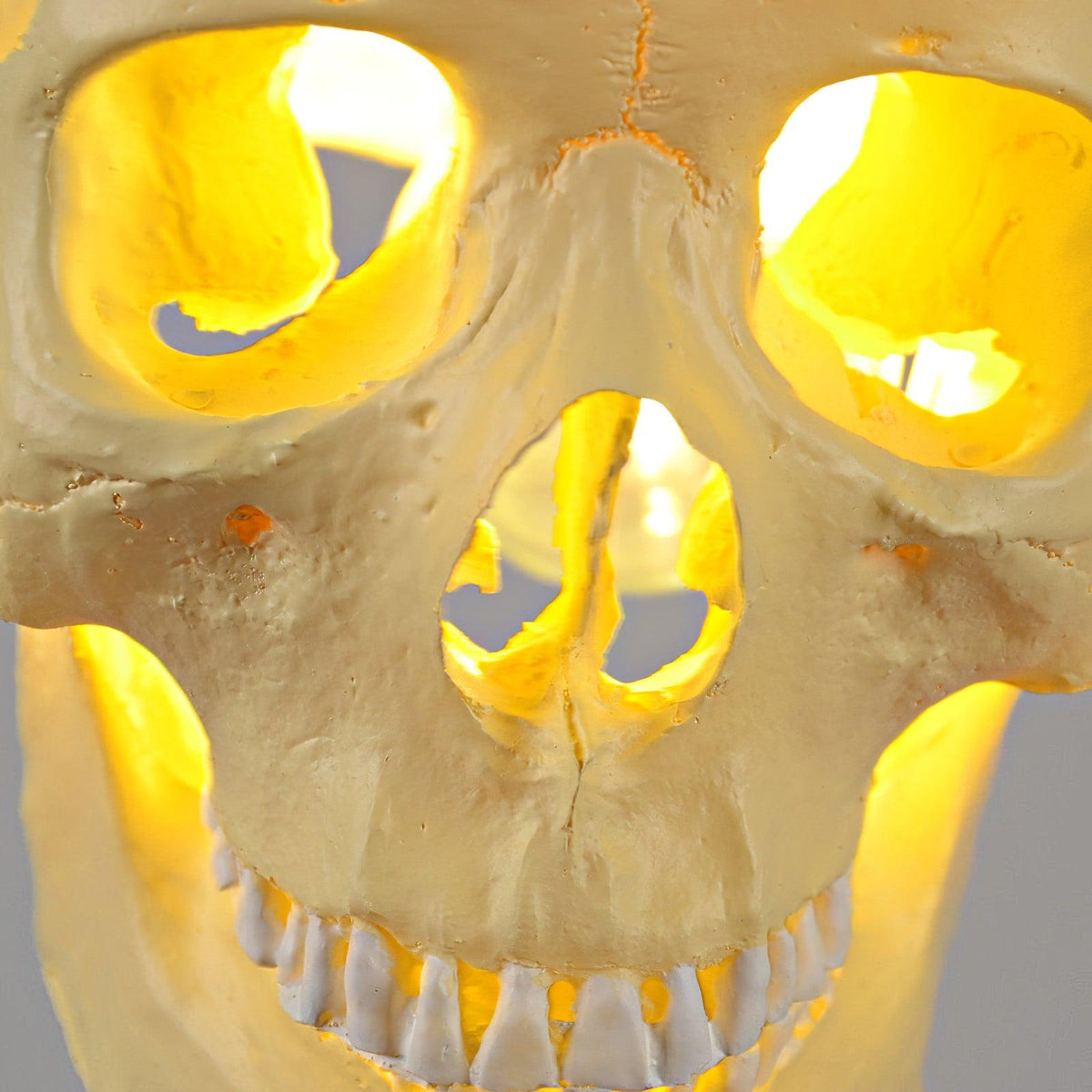 Skull Pendant Light – Beige Resin & Metal Designer Hanging Lamp