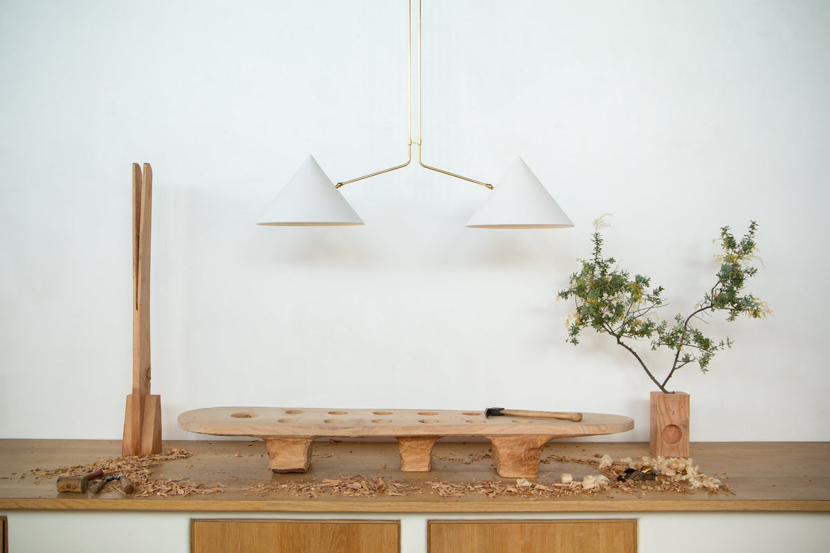slide-2-arm-pendant-lamp