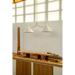 slide-2-arm-pendant-lamp