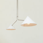 slide-2-arm-pendant-lamp