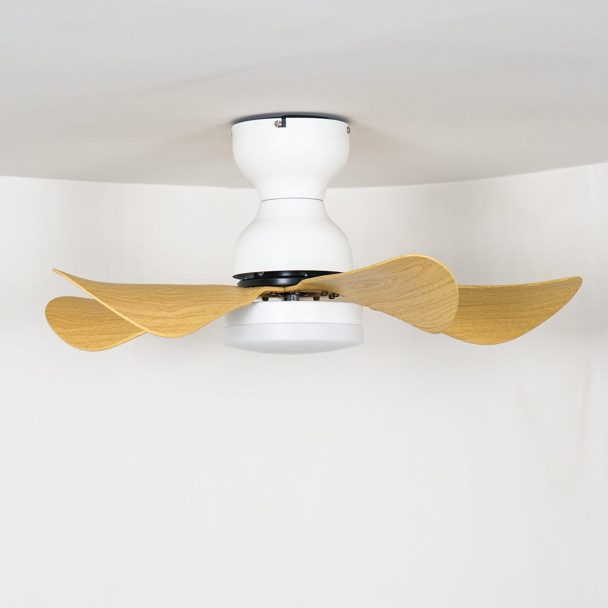Arilia 29" LED Ceiling Fan Light with Walnut Blades