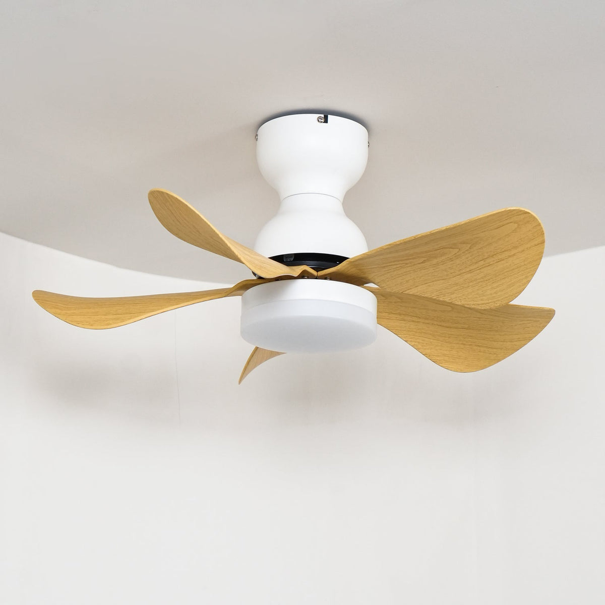 Arilia 29" LED Ceiling Fan Light with Walnut Blades