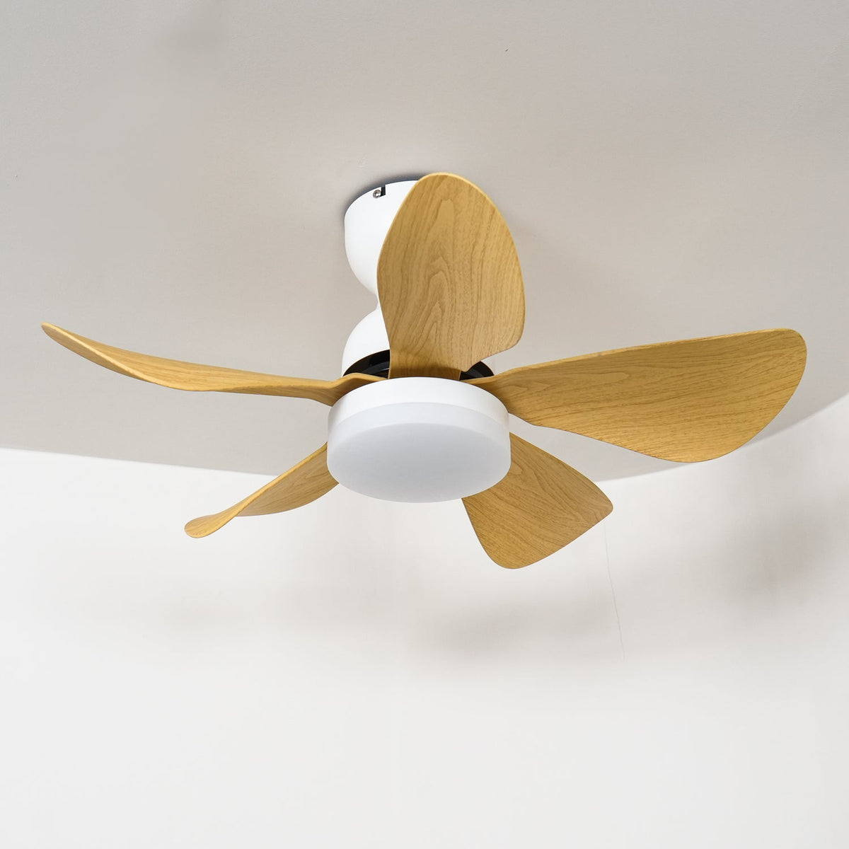 Arilia 29" LED Ceiling Fan Light with Walnut Blades