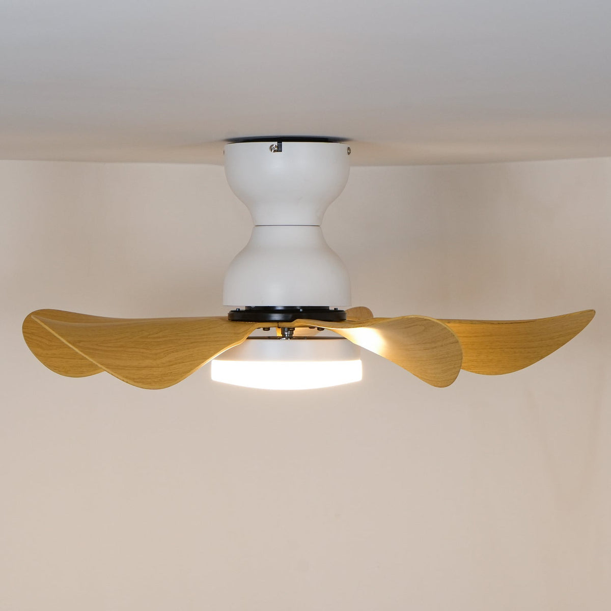 Arilia 29" LED Ceiling Fan Light with Walnut Blades