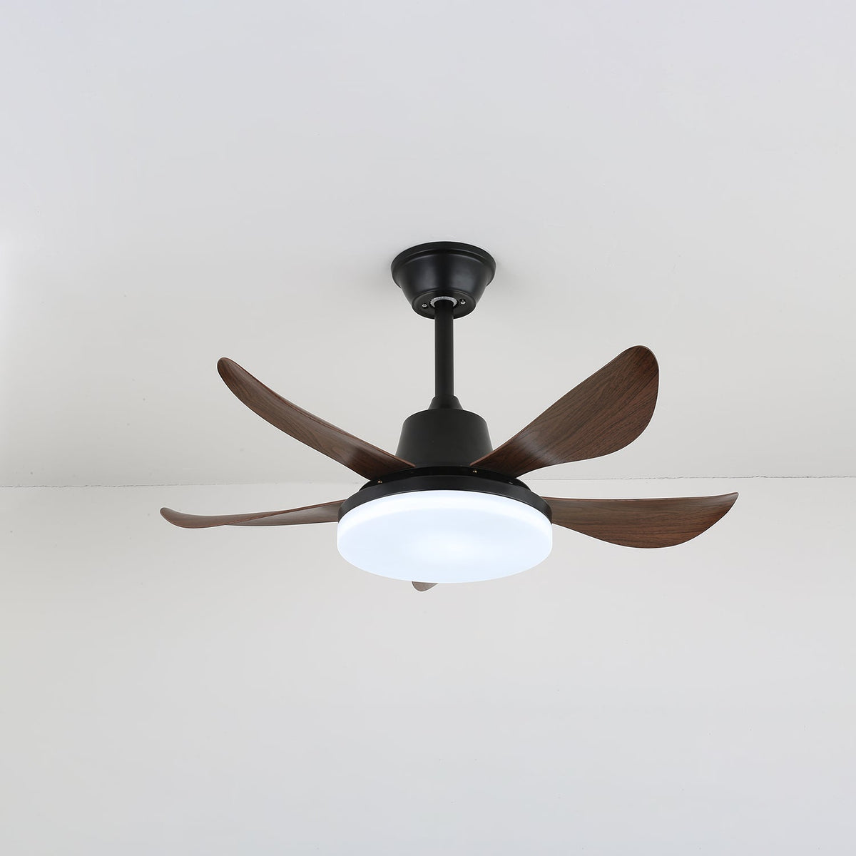 Lucas Ceiling Fan Light with LED Illumination and Walnut Blades