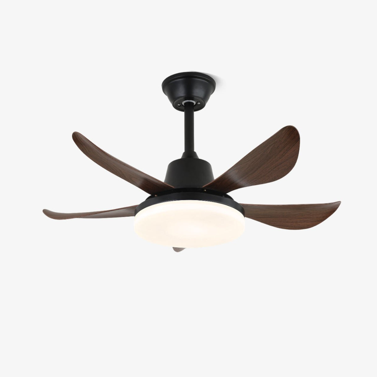 Lucas Ceiling Fan Light with LED Illumination and Walnut Blades