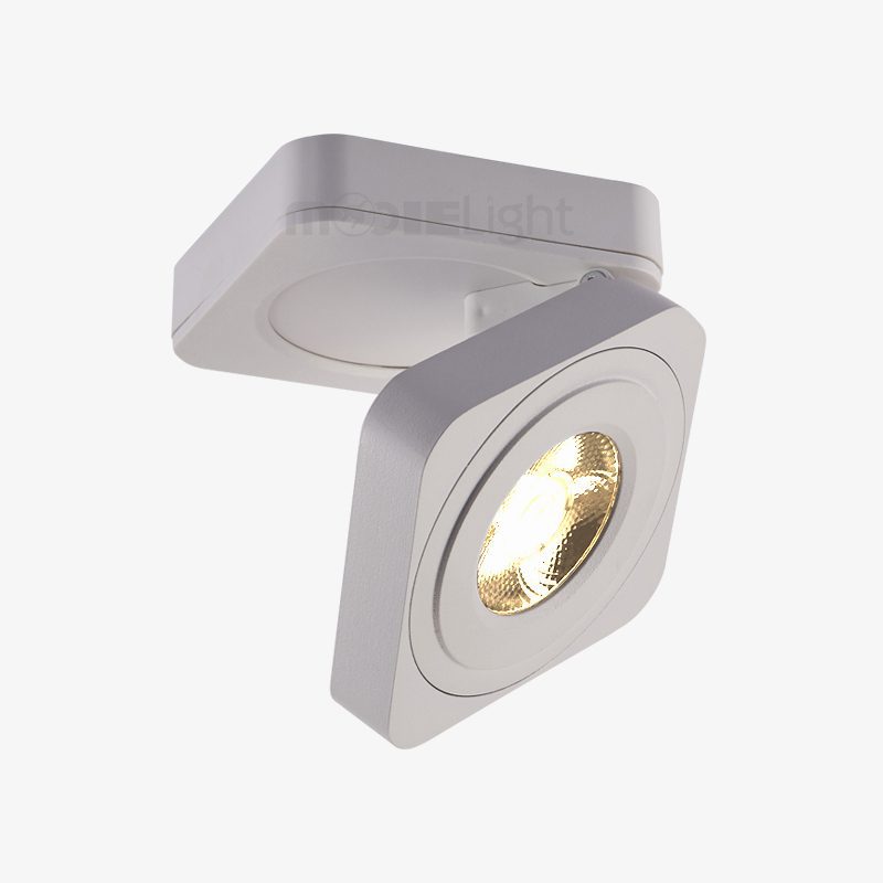 Square Rotating LED Downlight
