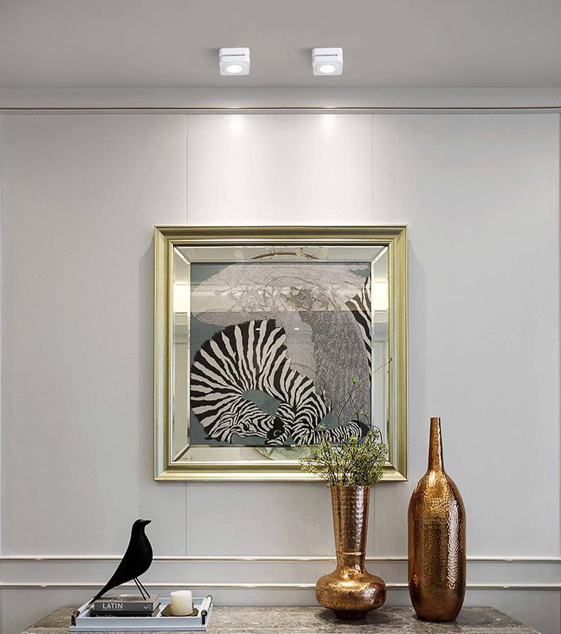 Square Rotating LED Downlight