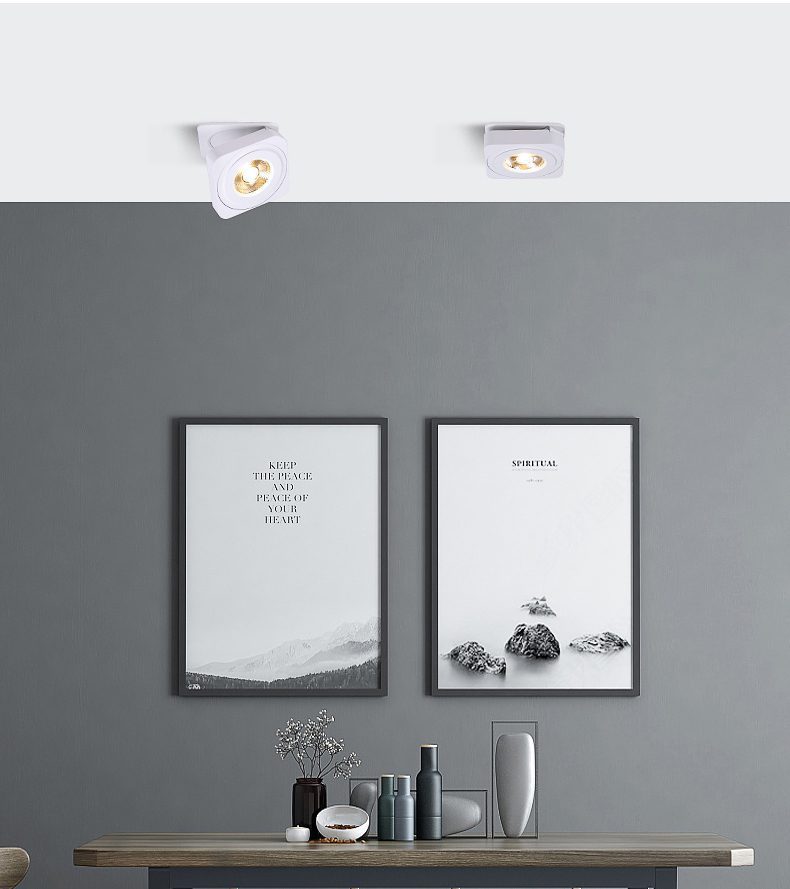 Square Rotating LED Downlight