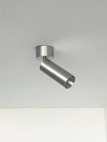 stanly-ceiling-spotlight-lamp