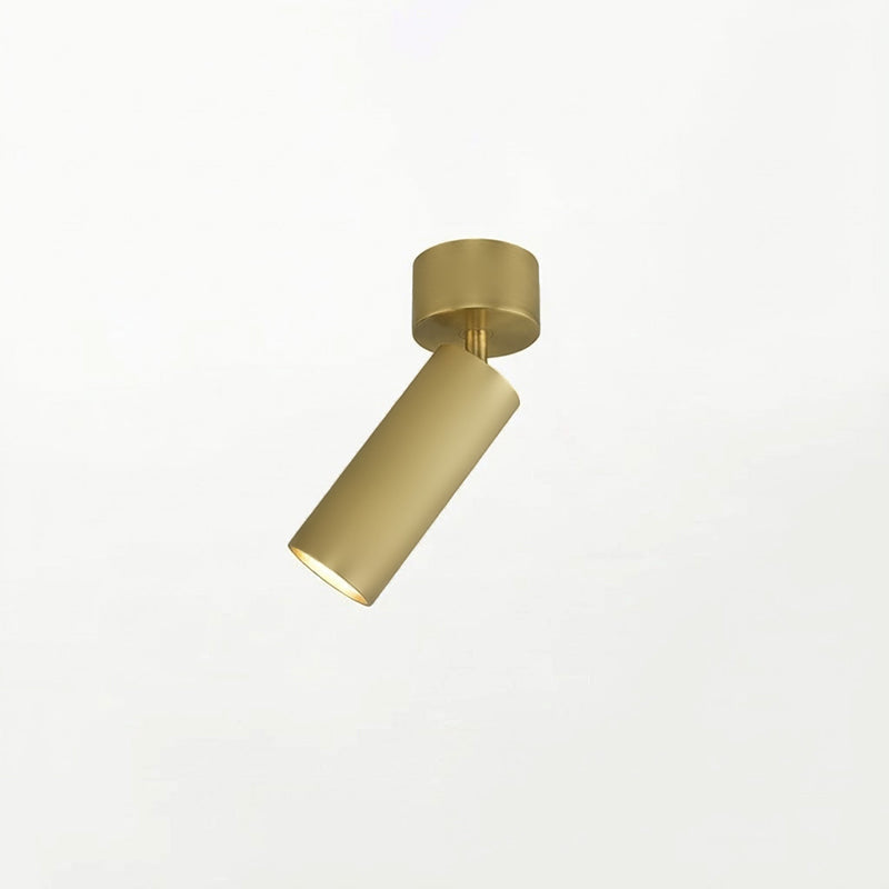 stanly-ceiling-spotlight-lamp