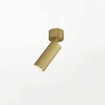 stanly-ceiling-spotlight-lamp