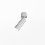 stanly-ceiling-spotlight-lamp