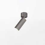 stanly-ceiling-spotlight-lamp
