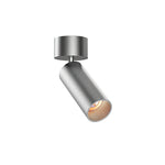 stanly-ceiling-spotlight-lamp