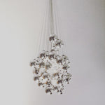 Stochastic Chandeliers