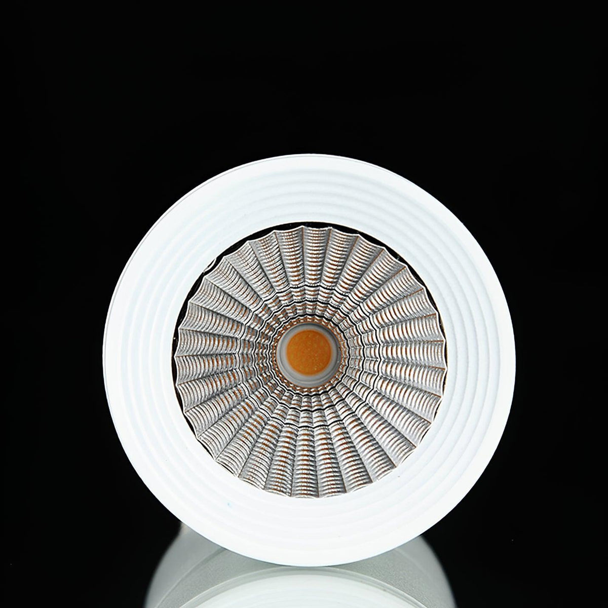 Sunny Led Spotlights