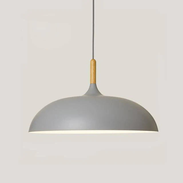 Modern Simple Dome Pendant Light