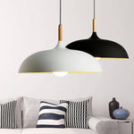 Modern Simple Dome Pendant Light