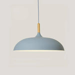 Modern Simple Dome Pendant Light