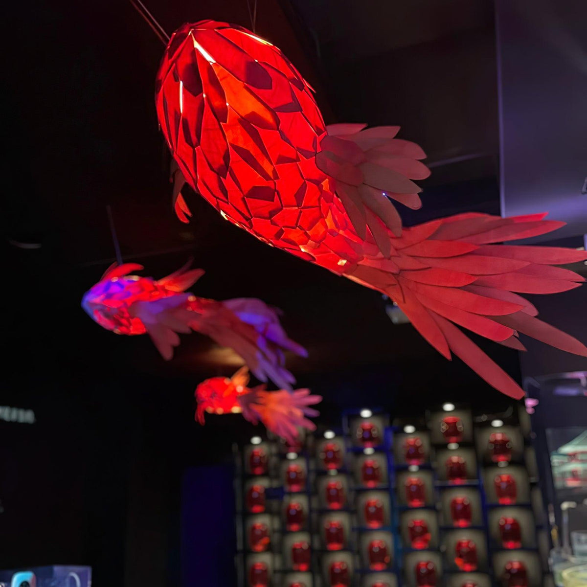 swirl-koi-chandelier