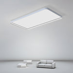 Lighting Ceiling Lights Flush Mount Lighting_Tli00089