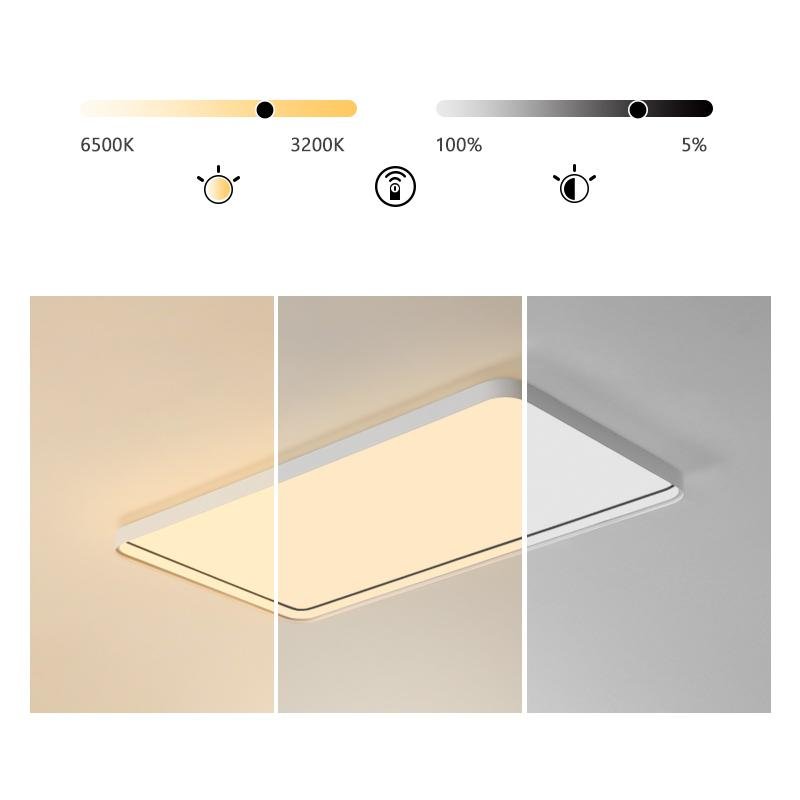 Lighting Ceiling Lights Flush Mount Lighting_Tli00089