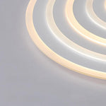 Lighting Ceiling Lights Flush Mount Lighting_Tli00103