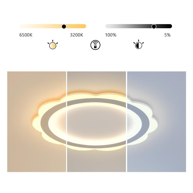 Lighting Ceiling Lights Flush Mount Lighting_Tli00121