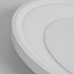 Lighting Ceiling Lights Flush Mount Lighting_Tli00123