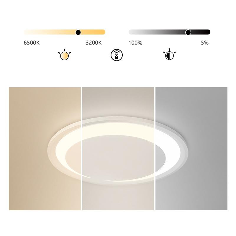 Lighting Ceiling Lights Flush Mount Lighting_Tli00123