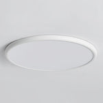 Lighting Ceiling Lights Flush Mount Lighting_Tli00236