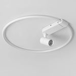 Lighting Ceiling Lights Flush Mount Lighting_Tli00242