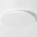 Lighting Ceiling Lights Flush Mount Lighting_Tli00281