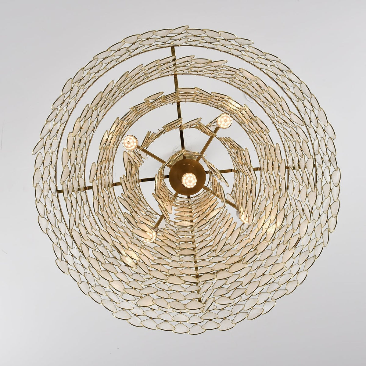 Teardrop Shell Chandelier in Gold Finish with Natural Shell Shades