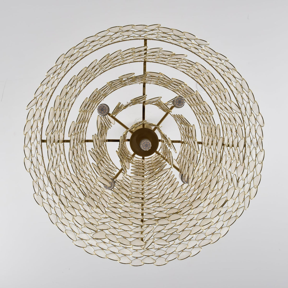Teardrop Shell Chandelier in Gold Finish with Natural Shell Shades