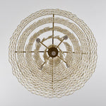 Teardrop Shell Chandelier in Gold Finish with Natural Shell Shades