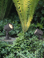 Terra Focus Outdoor Spotlight – Architectural LED Landscape Light