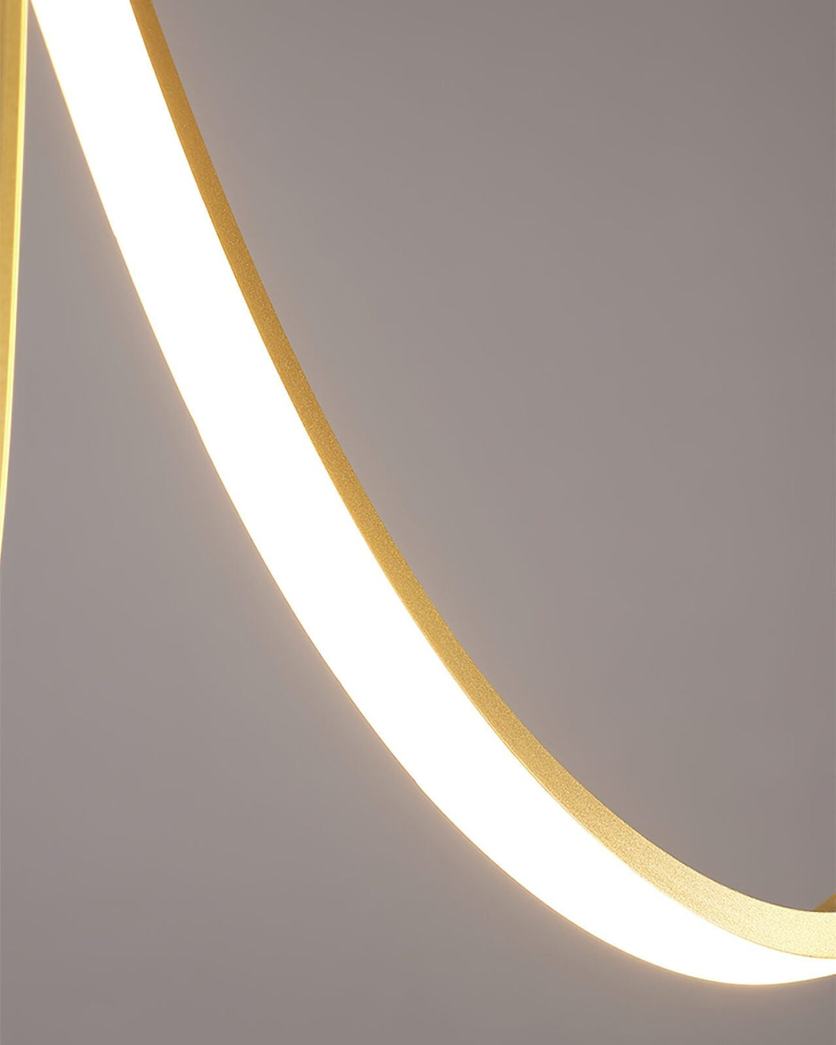 Tracer Loop Pendant Light