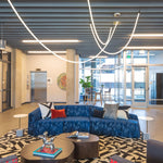 Flexible Curve Line Pendant Lamp