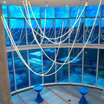 Flexible Curve Line Pendant Lamp