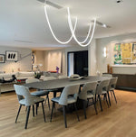 Flexible Curve Line Pendant Lamp