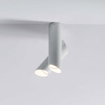 Tubes Ceiling Lamp