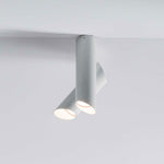 Tubes Ceiling Light