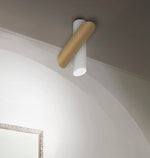 Tubes Ceiling Lamp