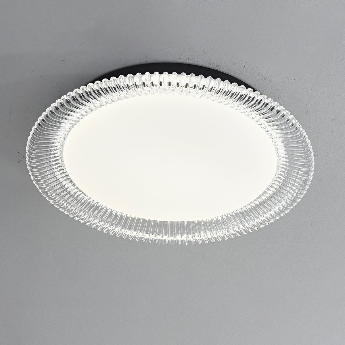 Vanguard LED Flush Mount Ceiling Light in Black and Acrylic