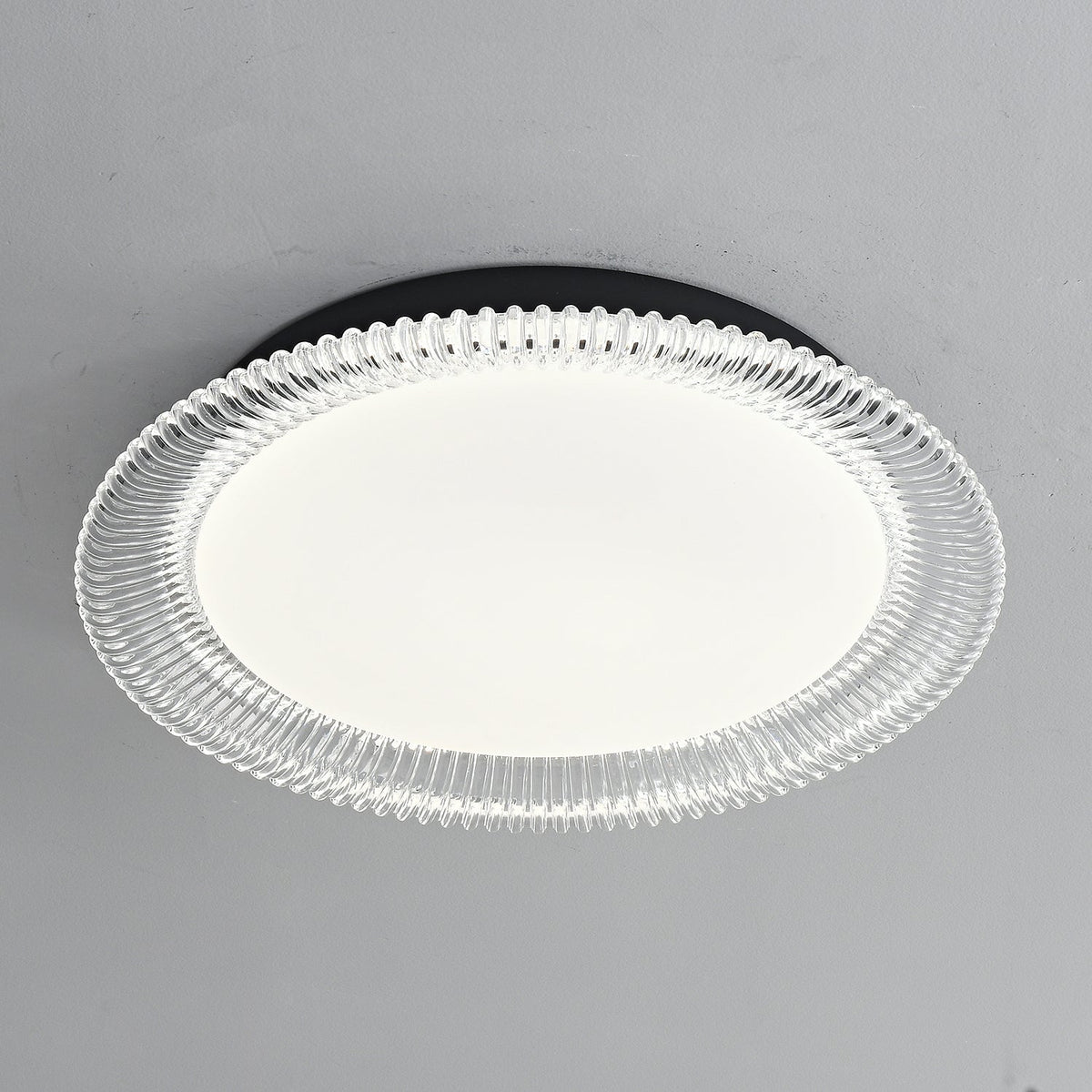 Vanguard LED Flush Mount Ceiling Light in Black and Acrylic